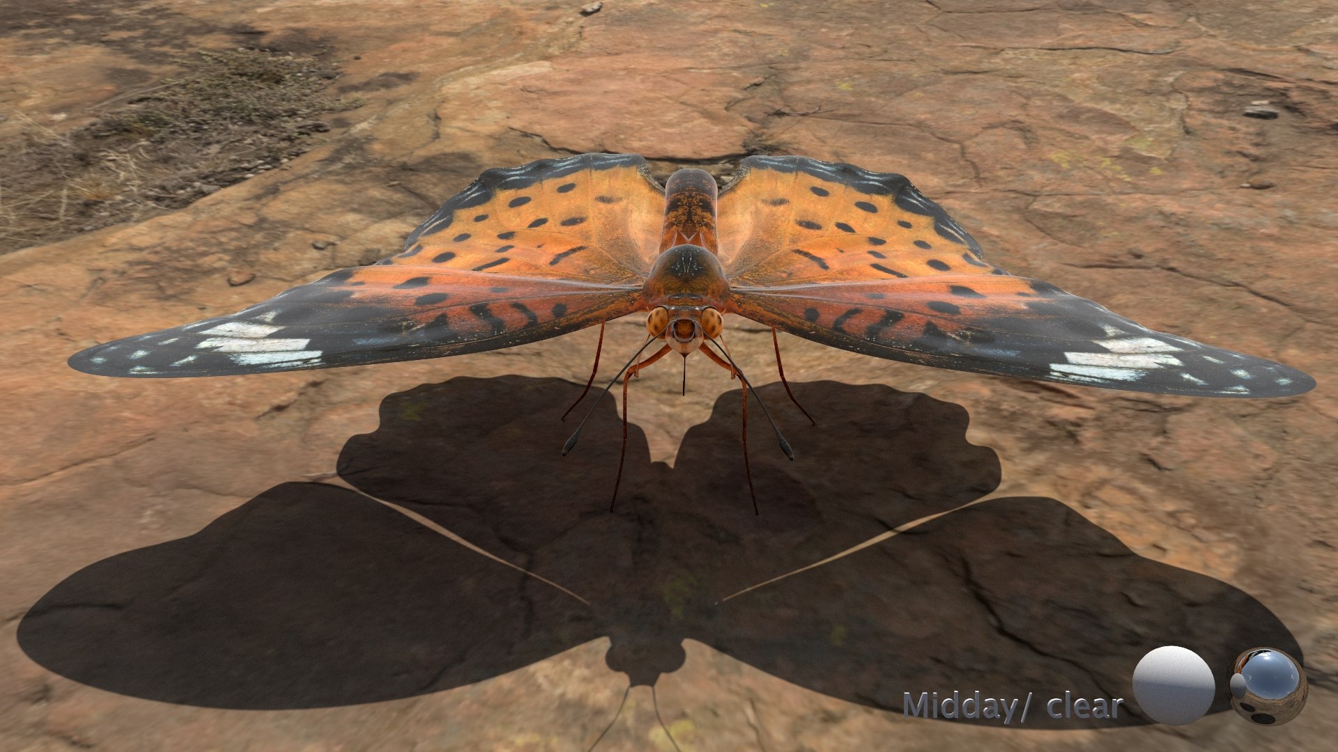 3D Rigged fritillary model https://p.turbosquid.com/ts-thumb/L2/CQUFtJ/bk/016/jpg/1673604319/1920x1080/fit_q87/262f57940db93eebd11ebb602bcfd4a857d8e4a8/016.jpg