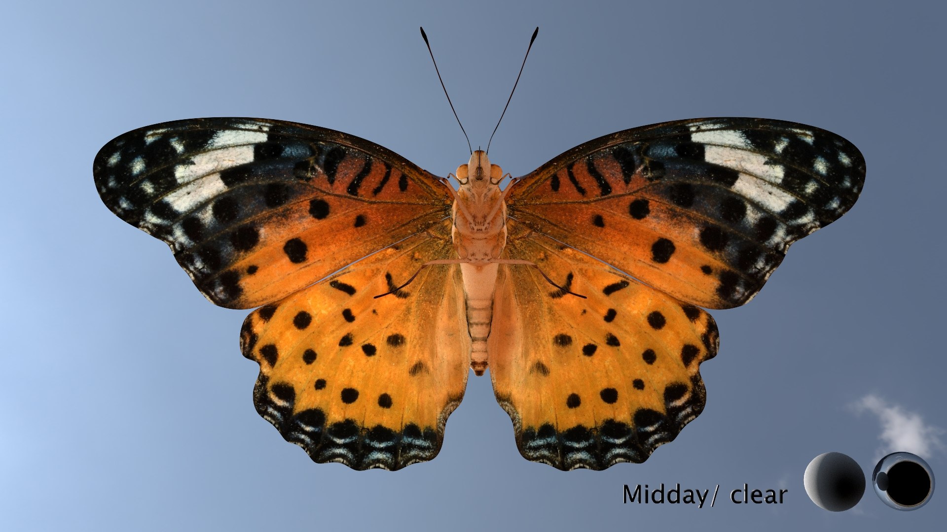 3D Rigged fritillary model https://p.turbosquid.com/ts-thumb/L2/CQUFtJ/h7/019/jpg/1673604322/1920x1080/fit_q87/99b2a46a3e6064cbfd7f3cb512dccab8dce8f63a/019.jpg