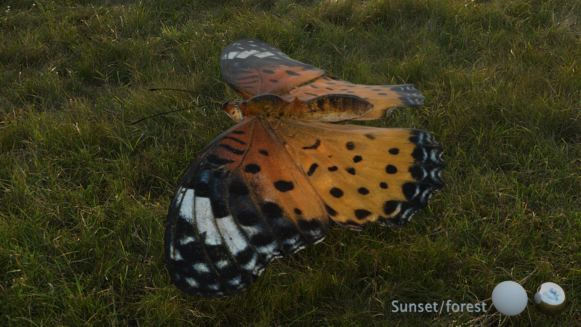 3D Rigged fritillary model https://p.turbosquid.com/ts-thumb/L2/CQUFtJ/tO/002/jpg/1673604310/1920x1080/fit_q87/745fdfc7fa60205bf6379eafb1c34fe2a7942435/002.jpg