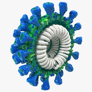 Coronavirus MERS-CoV Cross Section