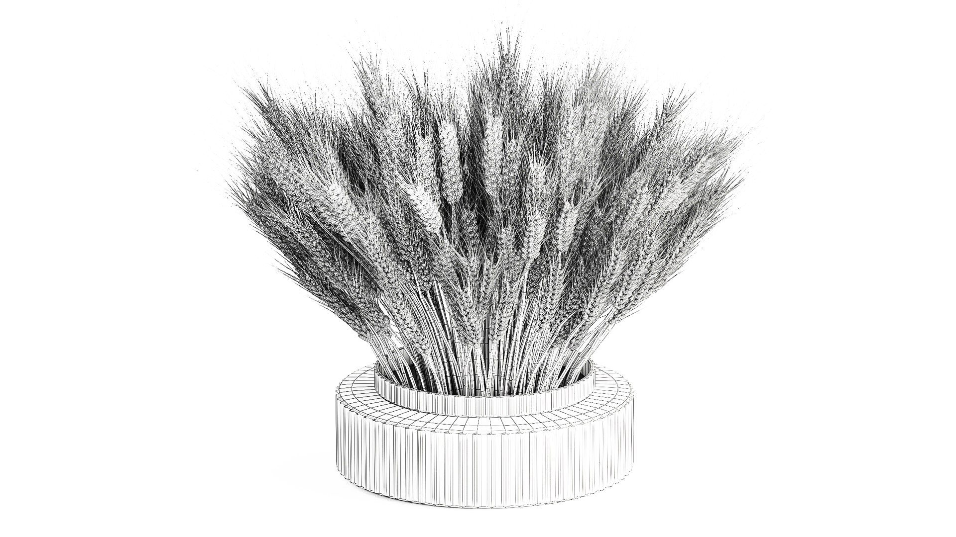 3D Green floral bouquet of wheat ears in a glass vase 610 https://p.turbosquid.com/ts-thumb/L2/PTjSaK/Ms/1bouquetwheat250809/jpg/1756305586/1920x1080/fit_q87/a582ca9bac3e1e5f2cb1d82ccf320e925a70c220/1bouquetwheat250809.jpg