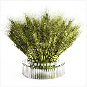 3D Green floral bouquet of wheat ears in a glass vase 610