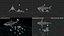 Sea Animals 12 Meshes 3D model