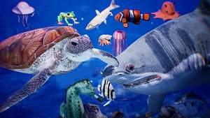 Sea Animals 12 Meshes