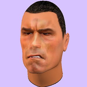 ARNOLD FACE