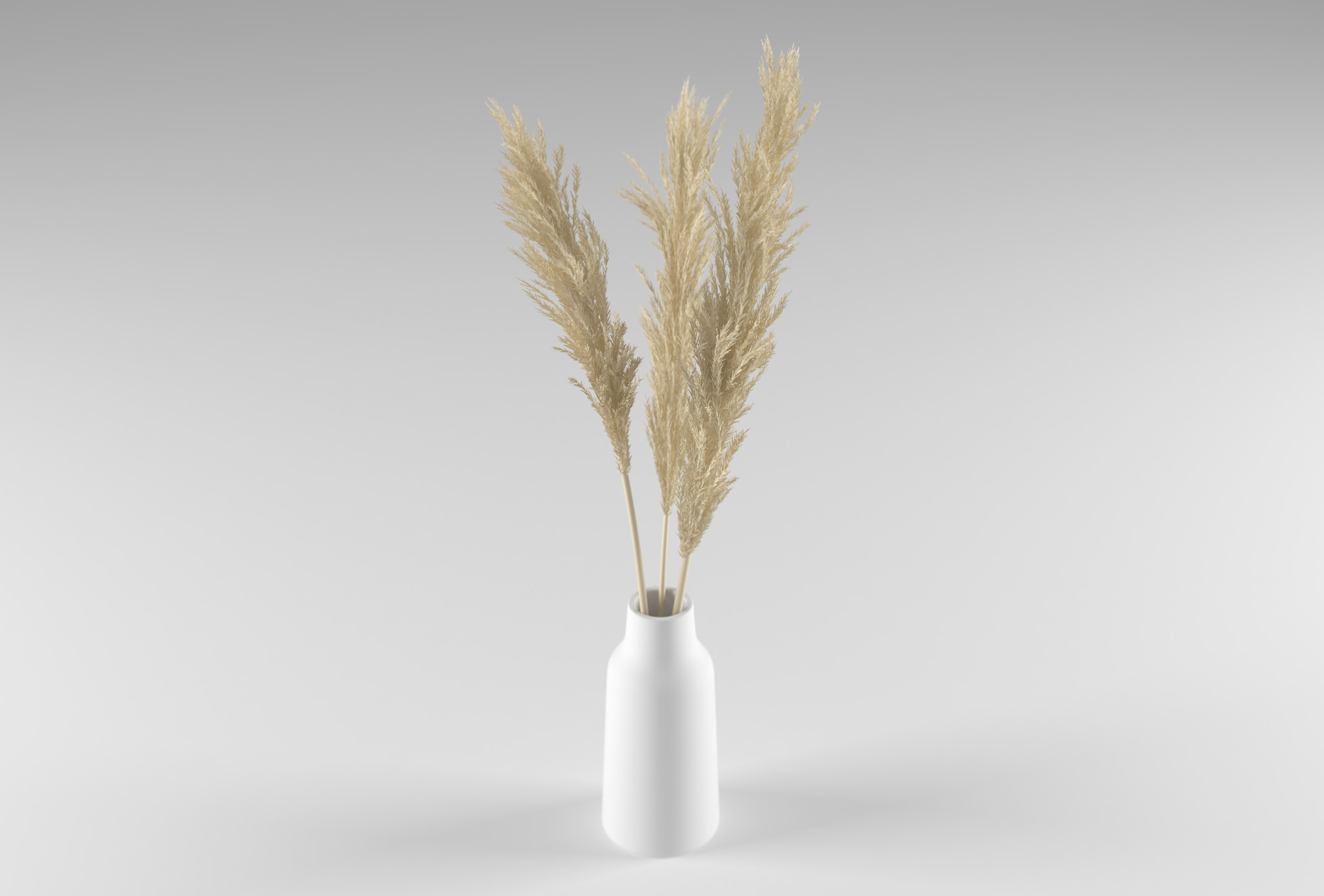 3D Dried pampas grass in vase TurboSquid 1954341