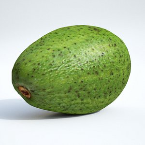3D model avocado fruit