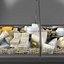 Cheese Deli Case