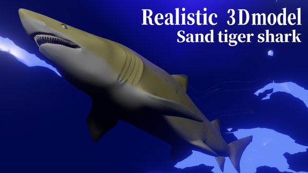 Tubarão-tigre Modelo 3d