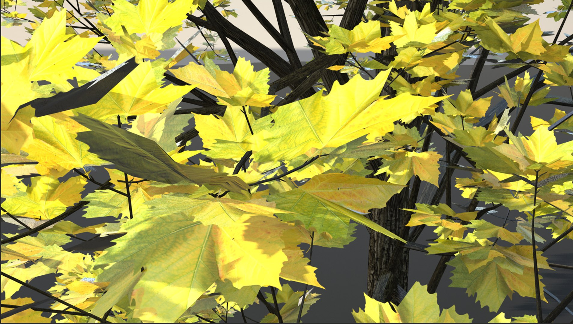 broadleaf materials obj