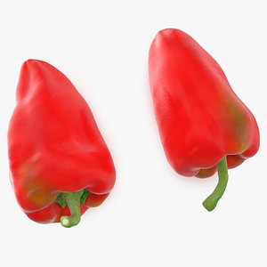 3D Red Long Pepper Bicolor