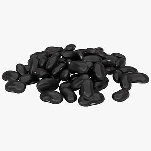 3D model realistic black kidney bean