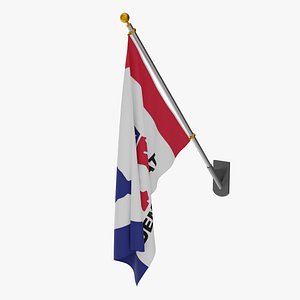 Wall Flag Democratic Party USA