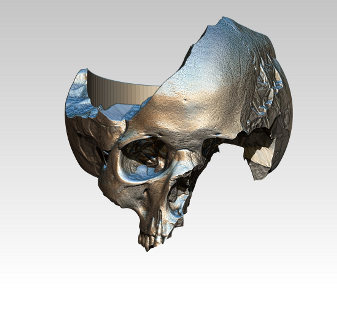 ring stl 3D model https://p.turbosquid.com/ts-thumb/L2/ouXWrt/5AZGoFj7/20200209_140039/png/1581246315/1920x1080/fit_q87/c58518c0fef3d60795f67c8cc2129ff64c916a32/20200209_140039.jpg