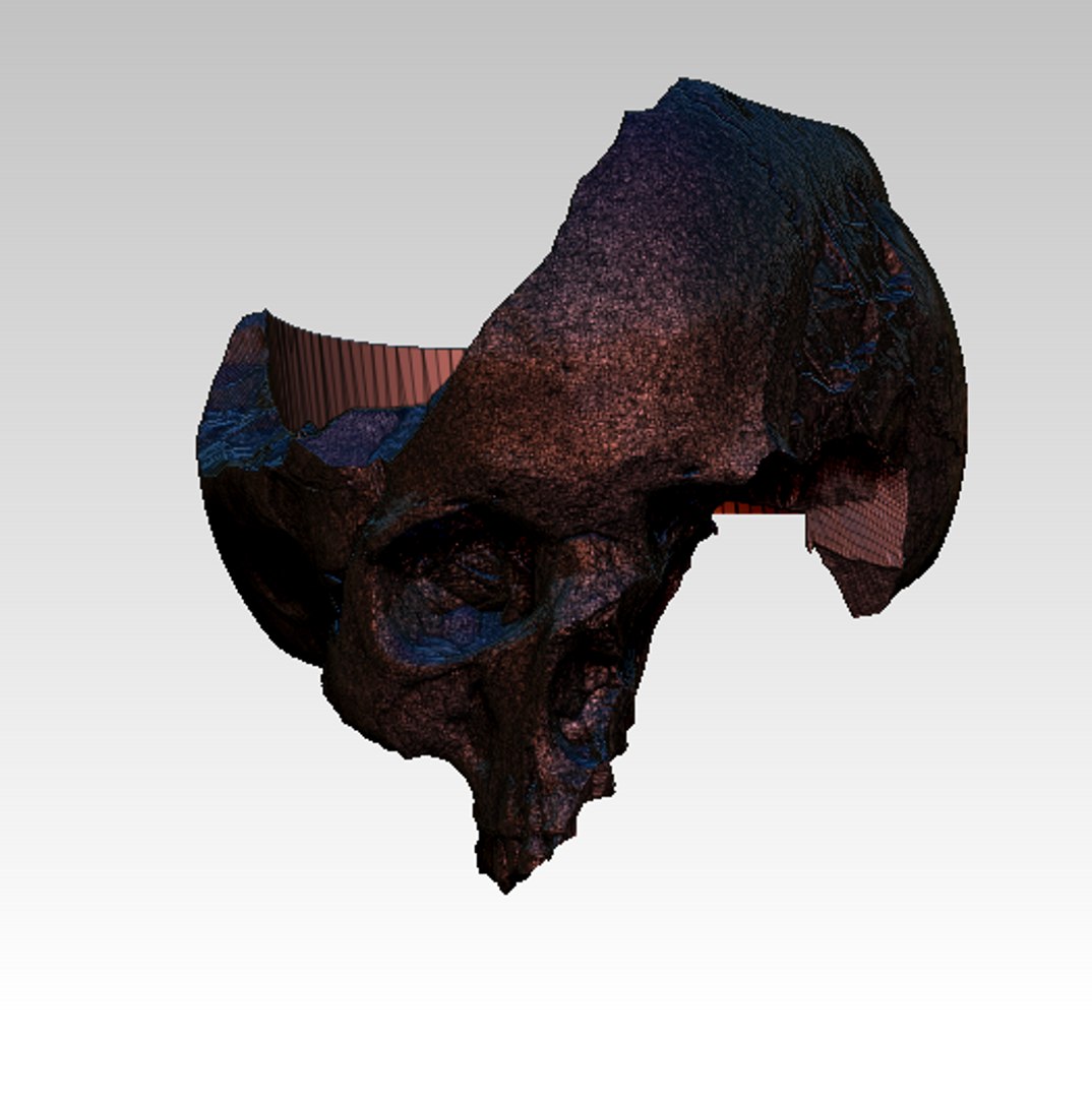 ring stl 3D model https://p.turbosquid.com/ts-thumb/L2/ouXWrt/eCZaoxKs/20200209_140113/png/1581246315/1920x1080/fit_q87/176e5fde9502fe9f3e4be93f31ecd14670ff90e4/20200209_140113.jpg