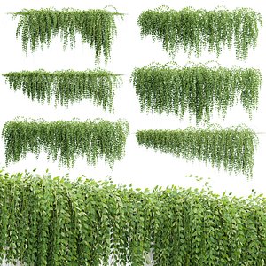 Hanging Wall Creeper Plants Collection Vol 340 3D model