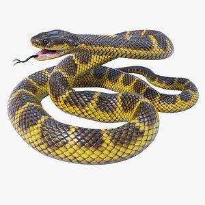 Animated Tiger Snake