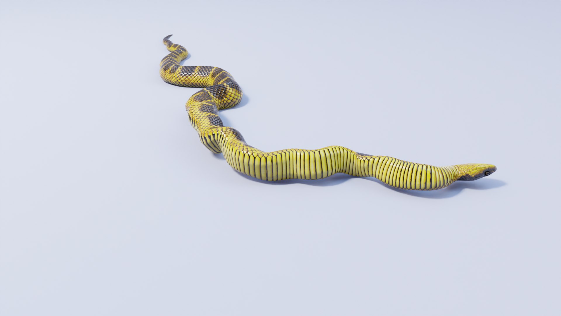 Animated Tiger Snake 3D https://p.turbosquid.com/ts-thumb/L2/vq3INH/t7/tigersnake_prev_15/png/1661641801/1920x1080/fit_q87/eb32582b2e44e8ae506cbacb98eceac63df479eb/tigersnake_prev_15.jpg
