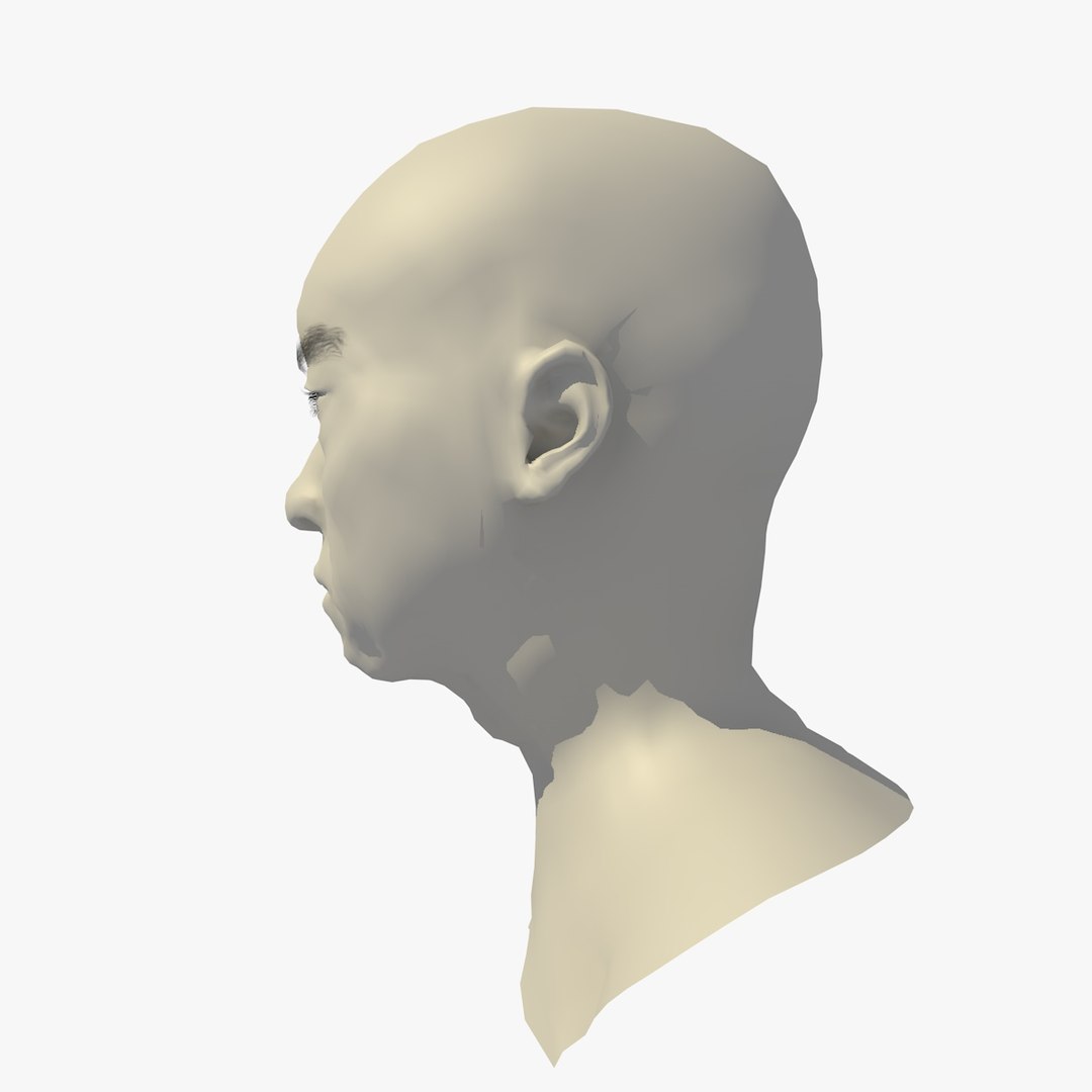 Realistic Head Base Mesh 3D Model - TurboSquid 1438811