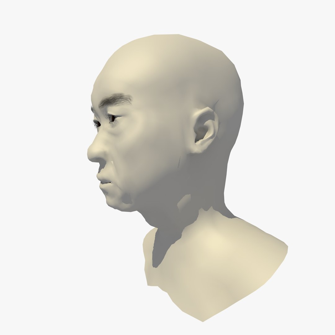 Realistic Head Base Mesh 3D Model - TurboSquid 1438811