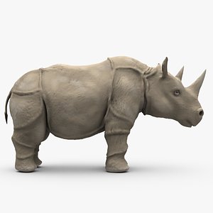 rhino rhinoceros c4d