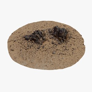 Dry Tree Stump 02 - Scan 3D model