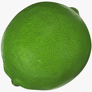 3D Lime V1 model