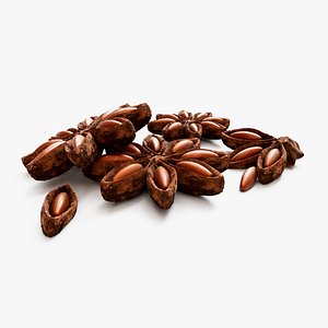 Star Anise 3D model