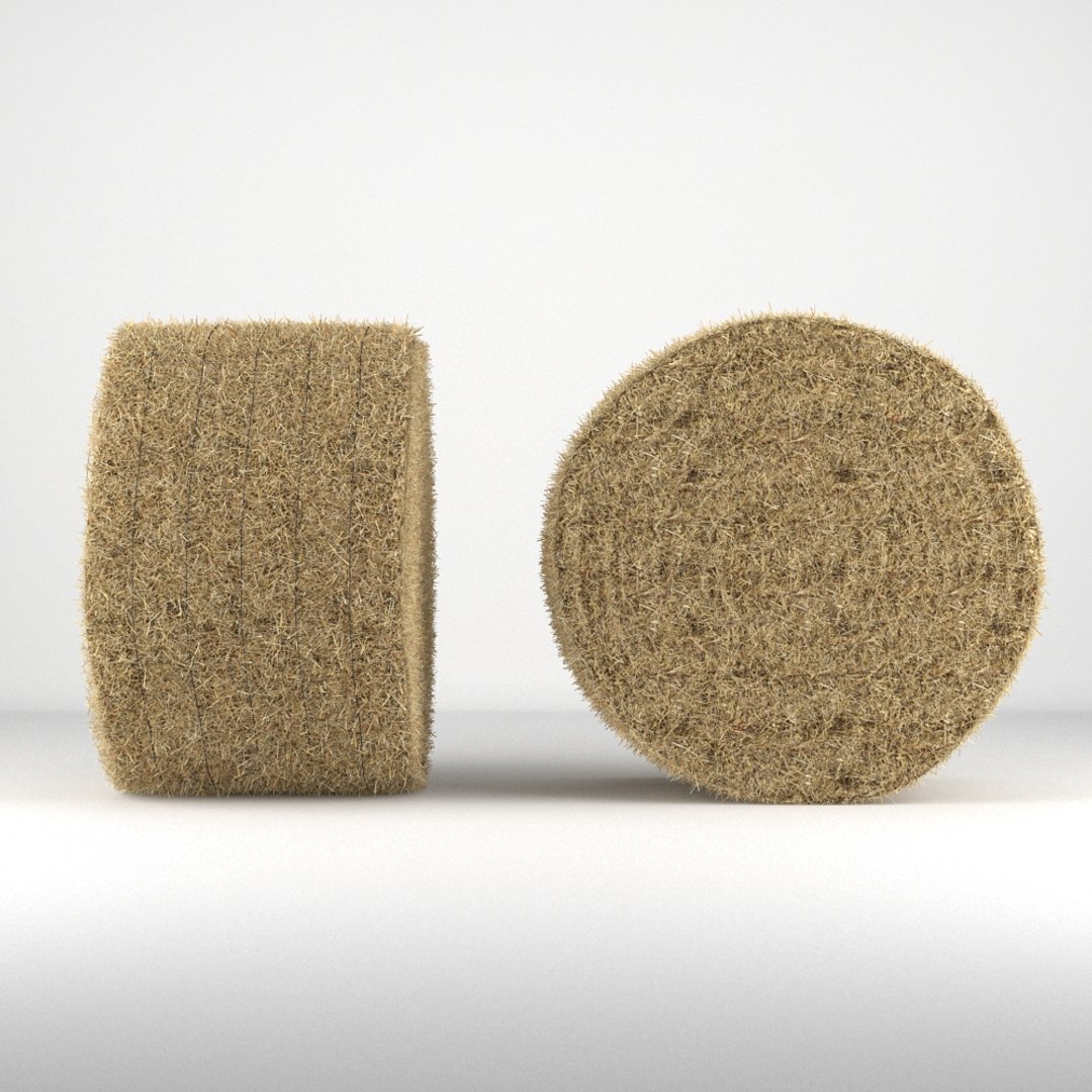 3d hay bale 2 https://p.turbosquid.com/ts-thumb/L3/QrRTo6/2TShg8Nu/haybale_round_003/jpg/1395672159/1920x1080/fit_q87/5302cb2c1c2477cc77ee36a12e667ca9dc916161/haybale_round_003.jpg