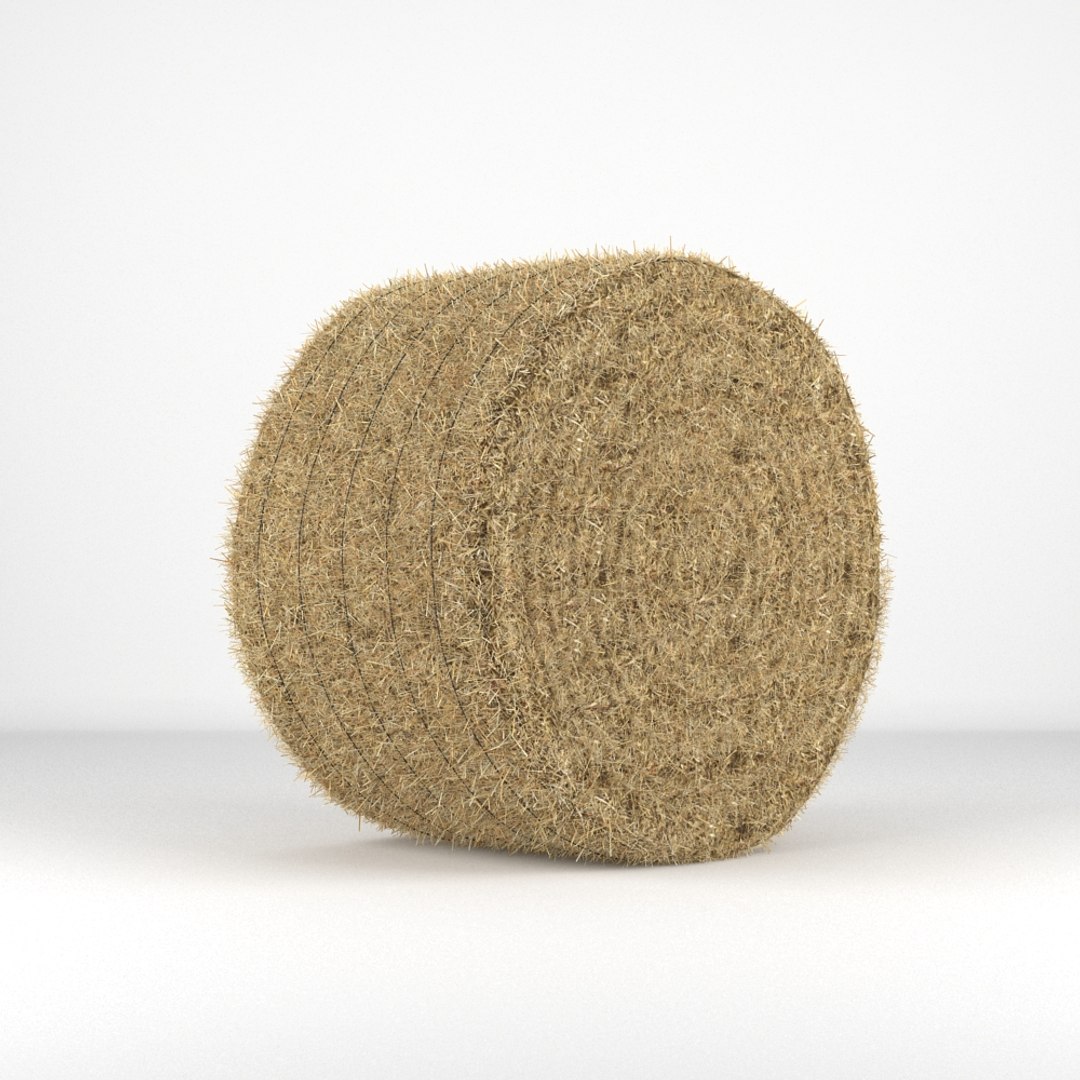 3d hay bale 2 https://p.turbosquid.com/ts-thumb/L3/QrRTo6/U5mZaA1c/haybale_round_001/jpg/1395672159/1920x1080/fit_q87/dc49555def9fcc9b2f1dea4c1bd2111c2c59dc60/haybale_round_001.jpg