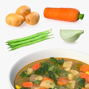 Soup with Vegetables Collection 3D