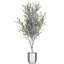 decorative olive tree black 3D model