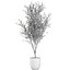 decorative olive tree black 3D model