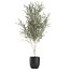 decorative olive tree black 3D model