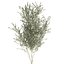 decorative olive tree black 3D model