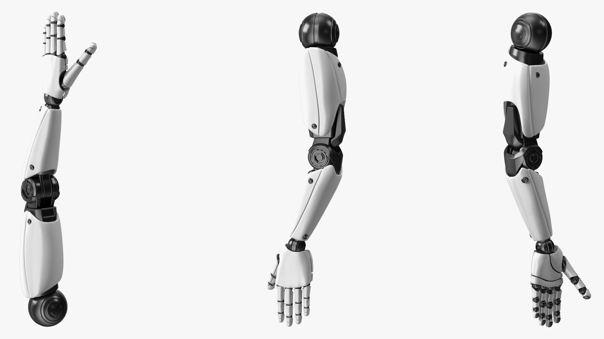 Mechanical Hands Rigged for Cinema 4D Collection 3D model https://p.turbosquid.com/ts-thumb/L3/i2CM4V/Qe/rigged_mechanical_hands_collection_for_cinema_4d_007/jpg/1767979379/1920x1080/fit_q87/f24f688a7d3413b6a2eea9272fcb13e6b12cf171/rigged_mechanical_hands_collection_for_cinema_4d_007.jpg