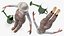 Jardinier Asiatique Femme Rigged