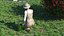 Jardinier Asiatique Femme Rigged