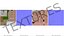 Jardinier Asiatique Femme Rigged