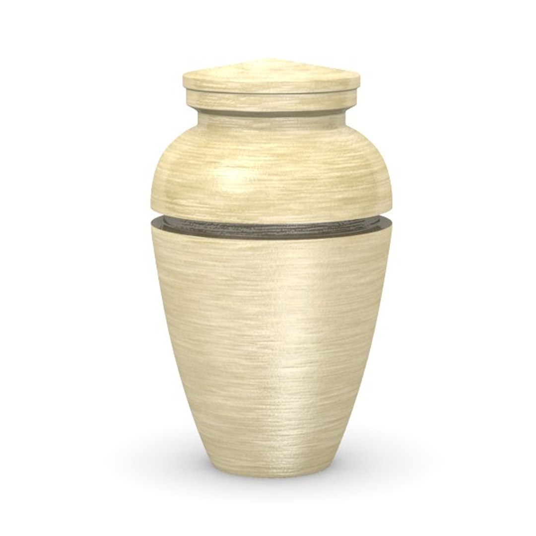 3d funeral urns https://p.turbosquid.com/ts-thumb/L3/m37FFB/BcrPFPXI/urn4/jpg/1296852510/1920x1080/fit_q87/4dbeef8b4269629e4a58af885e8ada5420aba164/urn4.jpg
