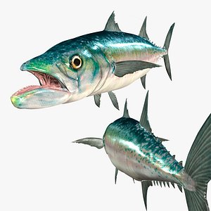WAHOO FISH PREHISTORIC