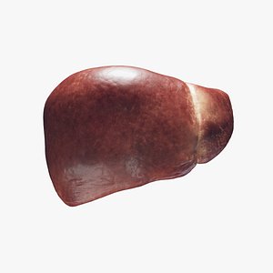 3D Human Liver