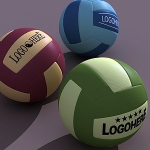 volleyball balls max