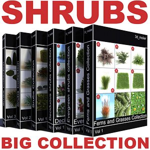 shrubs vol6 collections bush 3d lwo