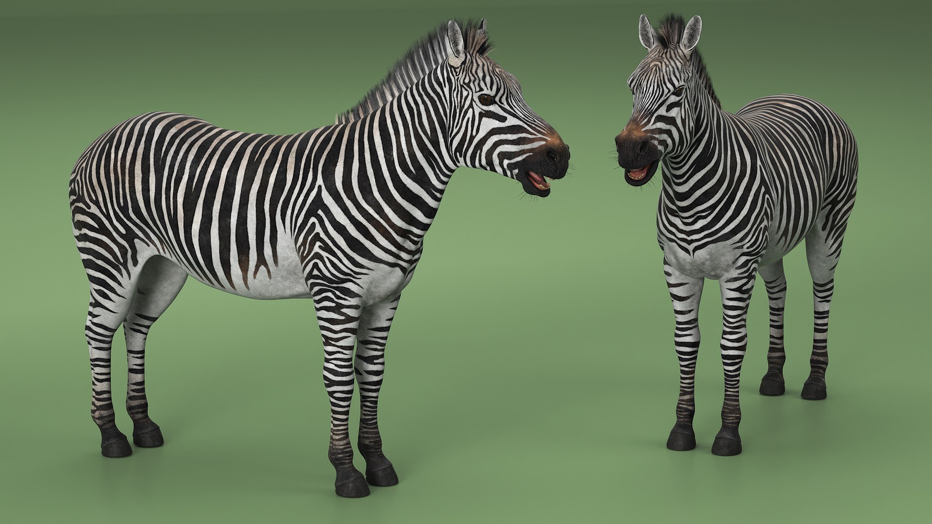 3D African Zebra Fur for Cinema 4D https://p.turbosquid.com/ts-thumb/L4/1Fcv95/GX/african_zebra_fur_005/jpg/1742871815/1920x1080/fit_q87/7afc73b171cffac4115d2e62bec4d5f5e204507f/african_zebra_fur_005.jpg