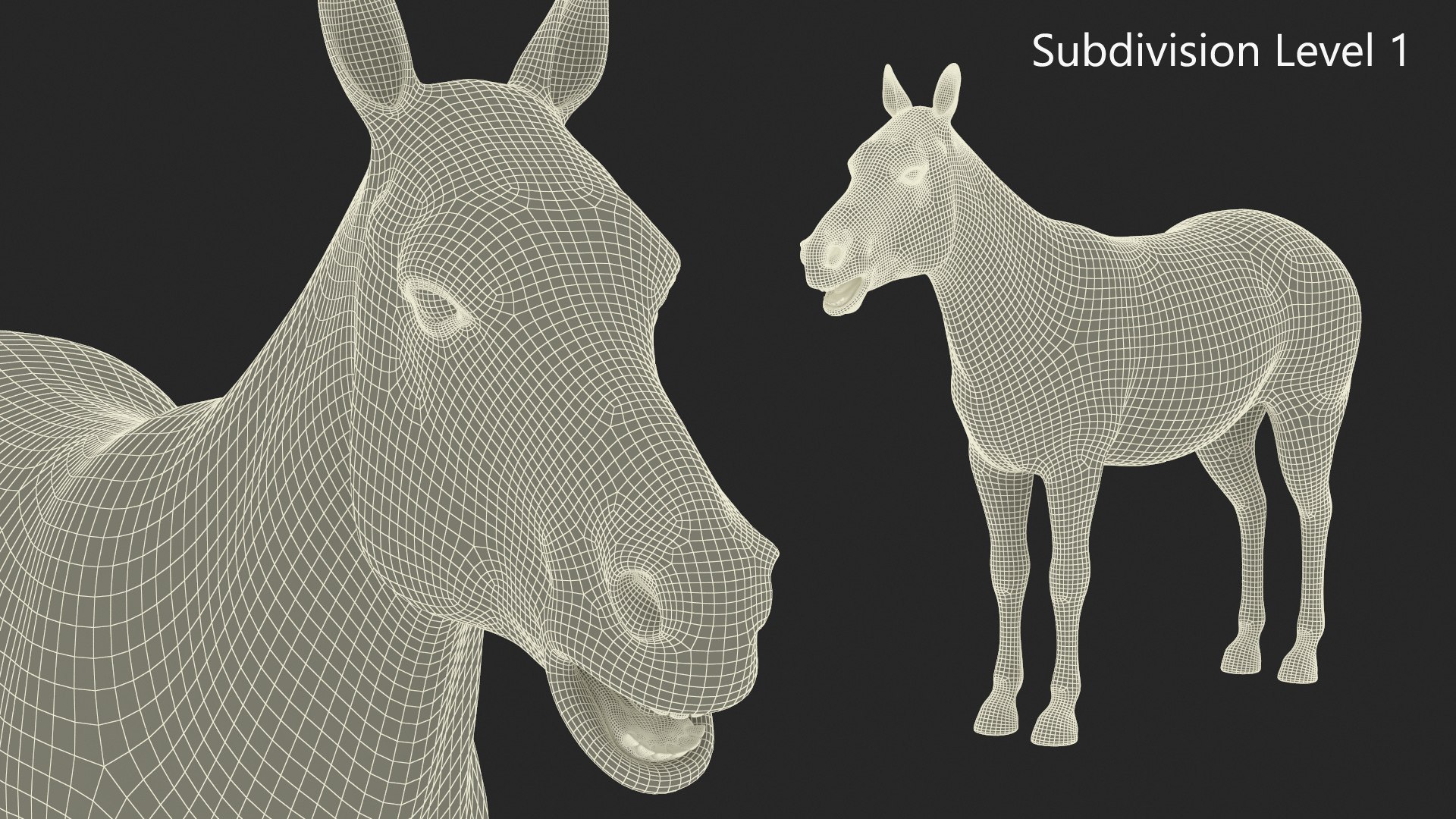 3D African Zebra Fur for Cinema 4D https://p.turbosquid.com/ts-thumb/L4/1Fcv95/Yf/african_zebra_fur_013/jpg/1742871845/1920x1080/fit_q87/403389f98485de8448f81f15dd5c689f831fbb16/african_zebra_fur_013.jpg