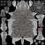 African Zebra Fur for Cinema 4D