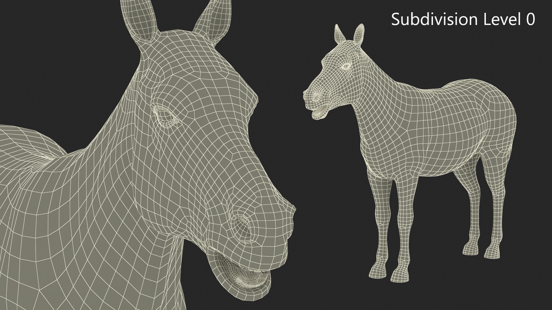 3D African Zebra Fur for Cinema 4D https://p.turbosquid.com/ts-thumb/L4/1Fcv95/uC/african_zebra_fur_012/jpg/1742871842/1920x1080/fit_q87/773c80795efc2de00ee5b82aa20f8198a13471bb/african_zebra_fur_012.jpg