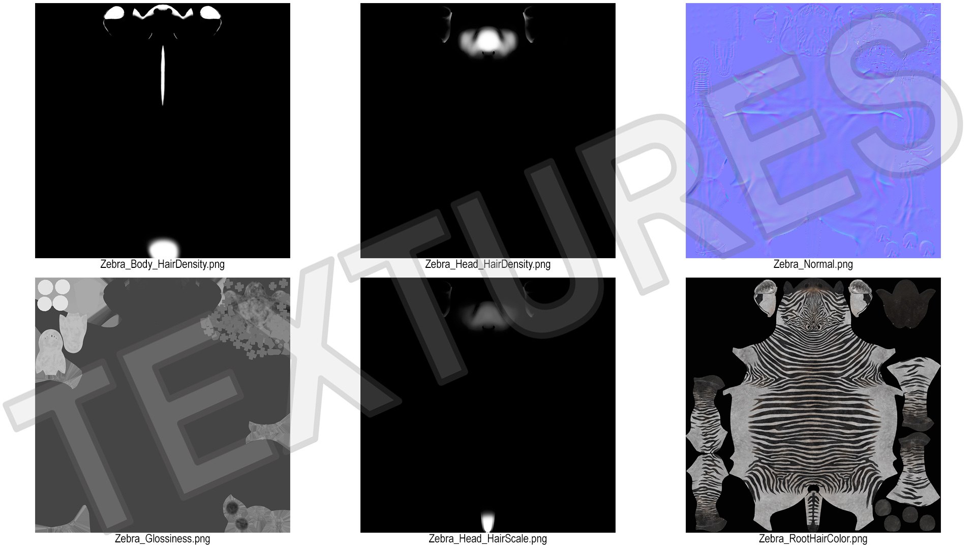 3D African Zebra Fur for Cinema 4D https://p.turbosquid.com/ts-thumb/L4/1Fcv95/ut/african_zebra_fur_015/jpg/1742871854/1920x1080/fit_q87/d8875aa913834a0a786b2faa0a08fbba345709f5/african_zebra_fur_015.jpg