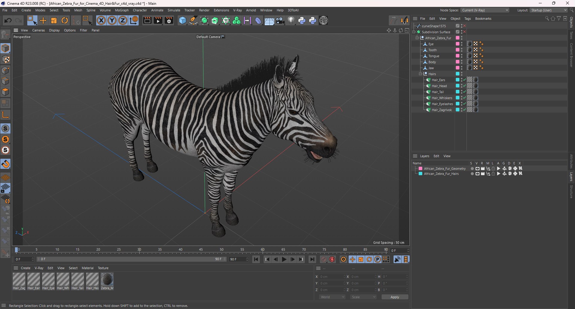 3D African Zebra Fur for Cinema 4D https://p.turbosquid.com/ts-thumb/L4/1Fcv95/w8/african_zebra_fur_for_cinema_4d_hairfur_1001/jpg/1742871879/1920x1080/fit_q87/d2a0f437c449379bb55ab399c0f6e1fd4de7c848/african_zebra_fur_for_cinema_4d_hairfur_1001.jpg